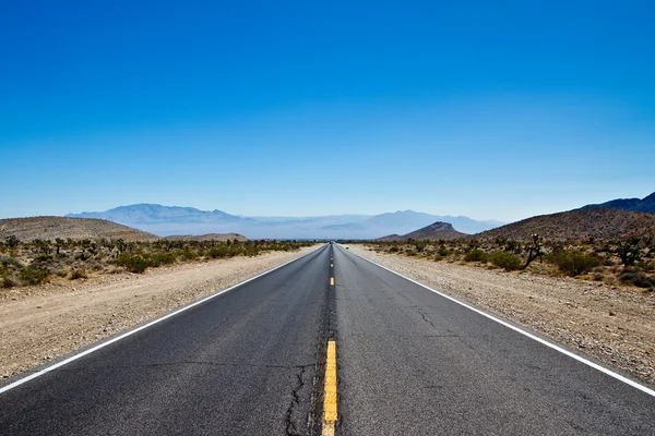 Kyle Canyon Road - IMG_1215