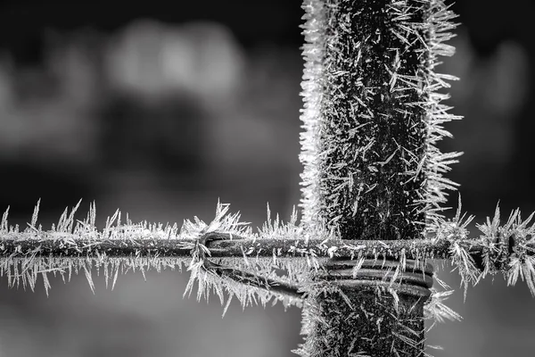 Sharp ice