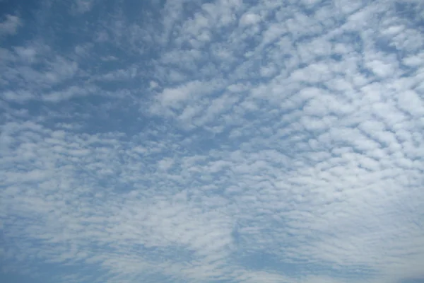 Big Sky