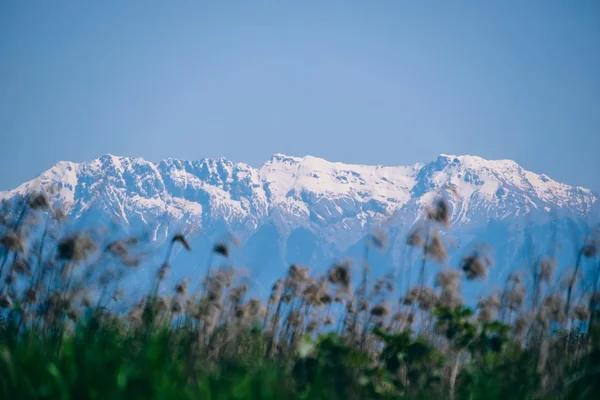 Buz Dağı