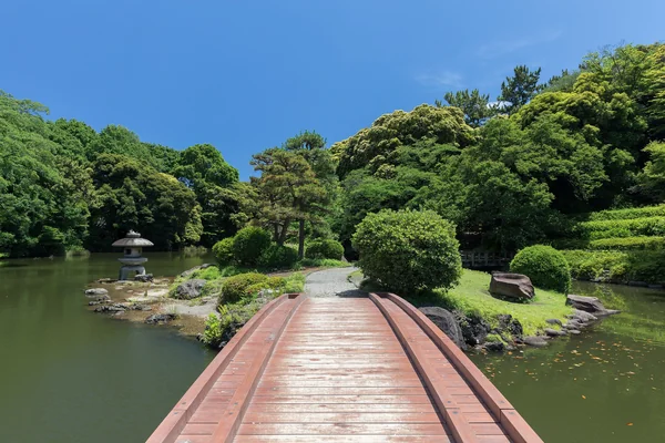 Tokyo Sokakları 5