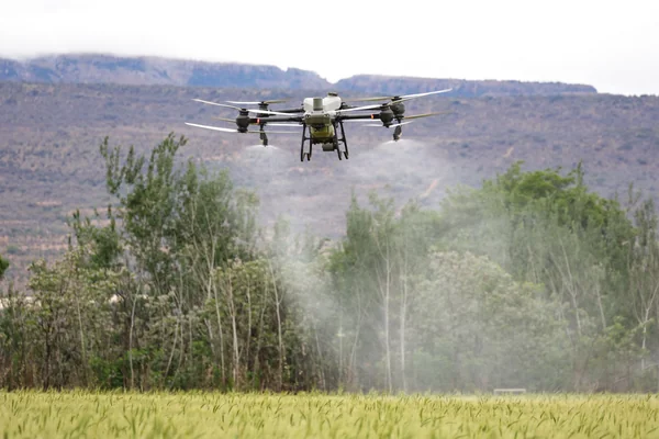 Drone 5
