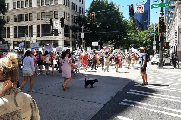 Protesto 4