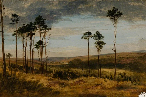 Geyik 5