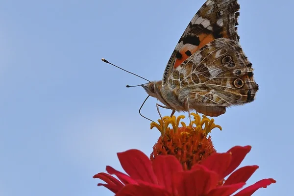 Sokak Fotoğrafçılığı 2