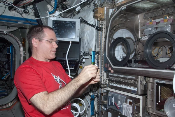 Ford works with the InSpace-3 Hardware in the U.S. Laboratory