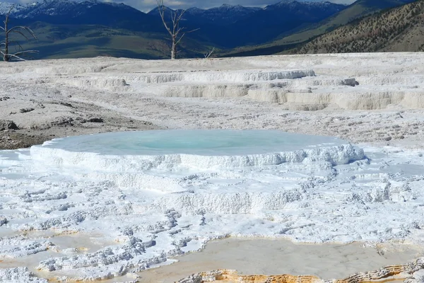 Mammoth upper loop - Yellowstone National Park