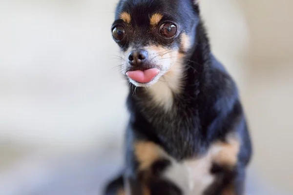 Bokeh Portre 2