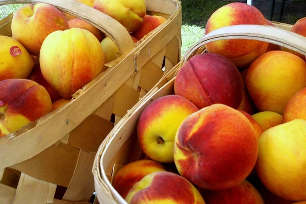 North Charleston Farmers Market produce