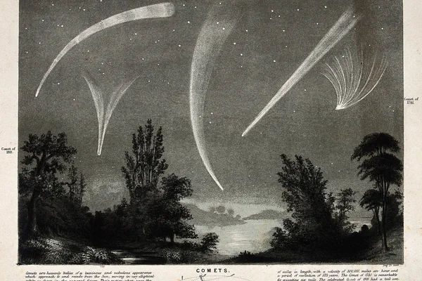 Astronomy: comets night sky. Engraving
