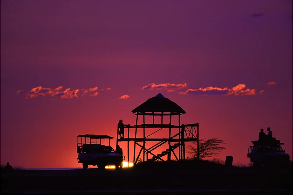 Afrika Safari