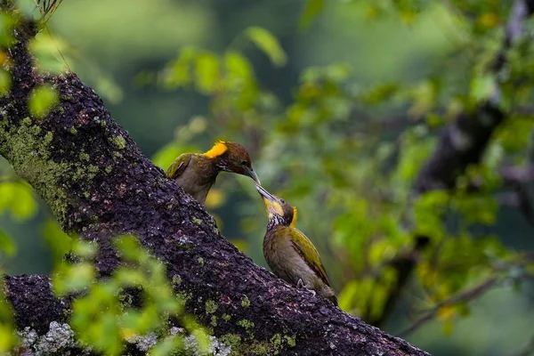 Sokak Fotoğrafçılığı 5