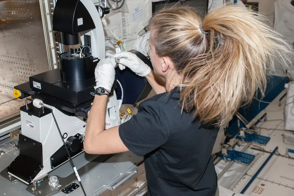 Nyberg in JEM (Kibo) with MSPR fluorescence microscope.