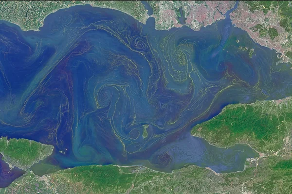 Blooms in the Sea of Marmara