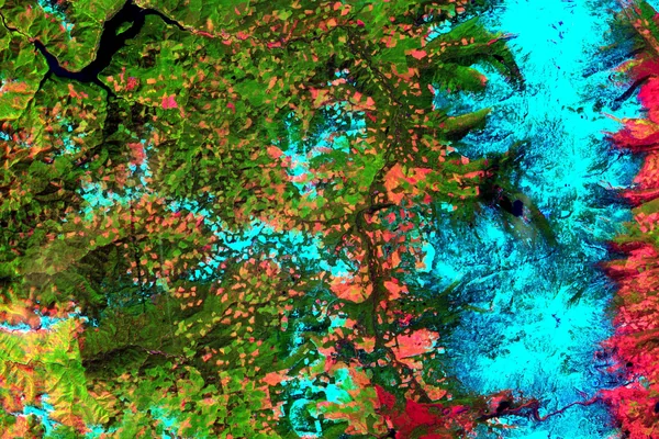 Oregon Forests