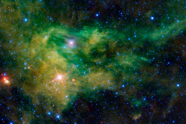 Supergiant Star Near Giraffe Hind Foot