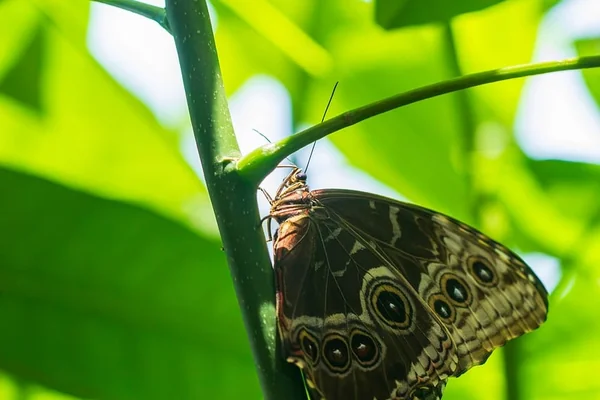 Sokak Fotoğrafçılığı 2
