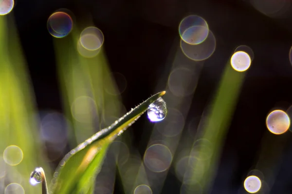 Bokeh Işık 3