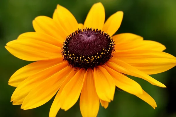 Buz Kristal 4