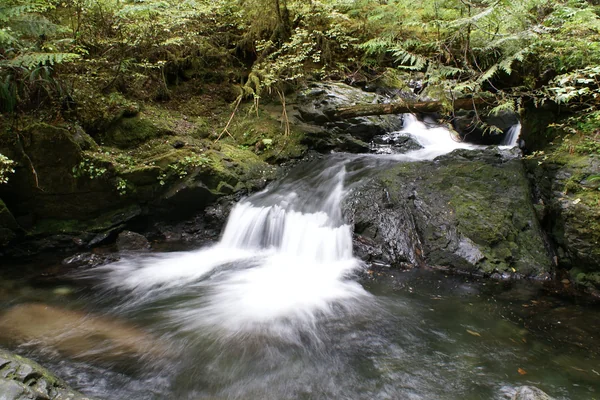 Short Waterfall - Long Exposure