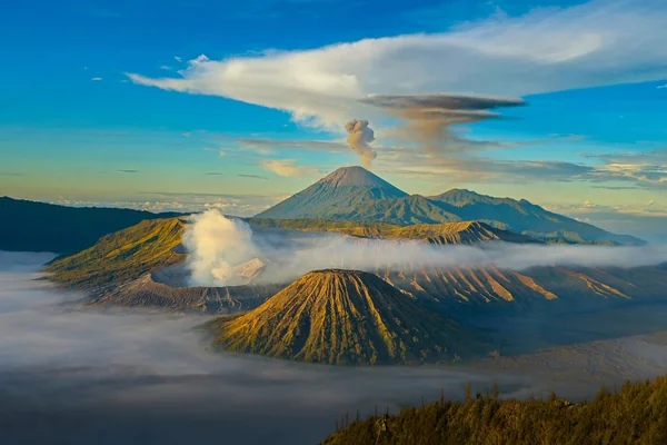 Bali 3