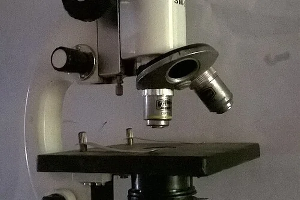 Laboratuvar Mikroskop 2