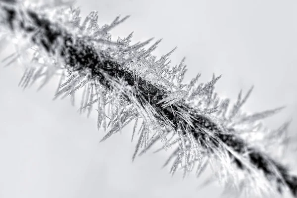 Ice on wire