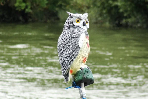 An Owl Bird Scarer