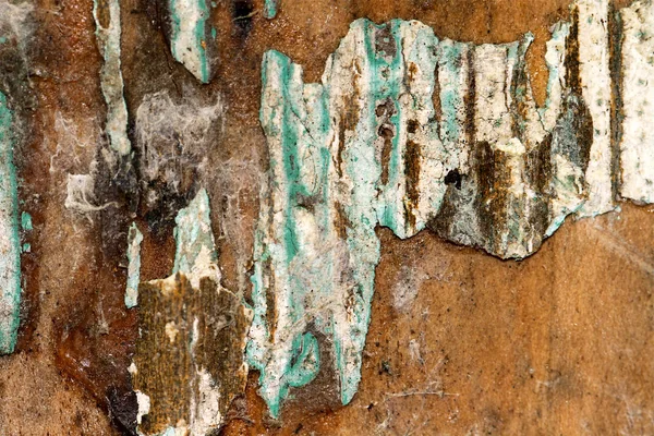 blue and rust texture