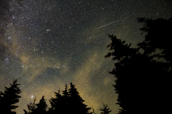 Perseid Meteor Shower