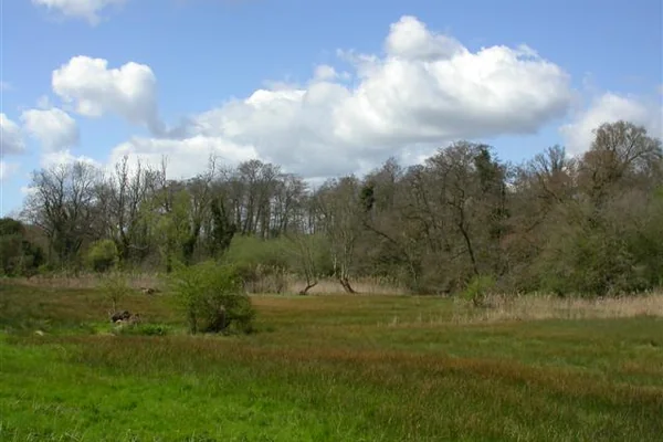 Newbourne Springs Nature Reserve - geograph.org.uk - 161623