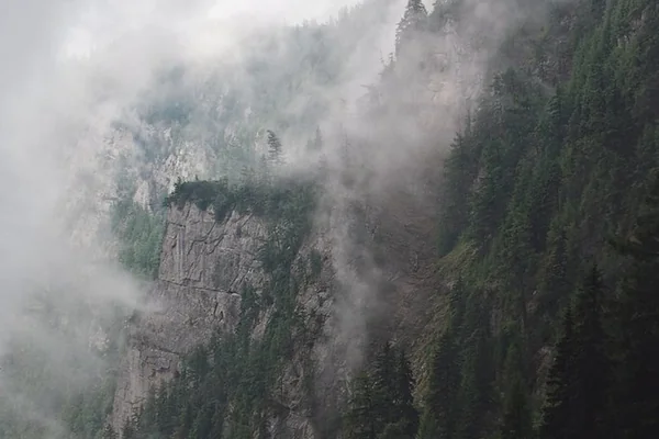 Barren rocky peaks covered by white fog