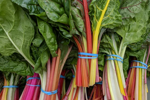 Organik Pazar 4