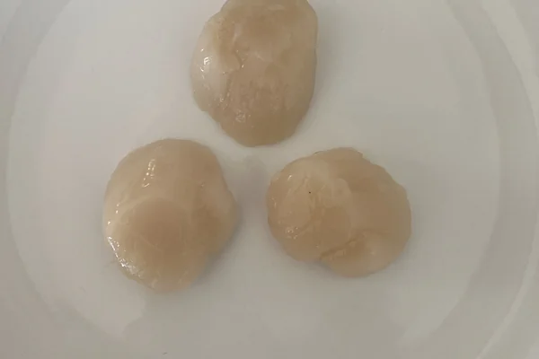 Deniz Ürünleri 3