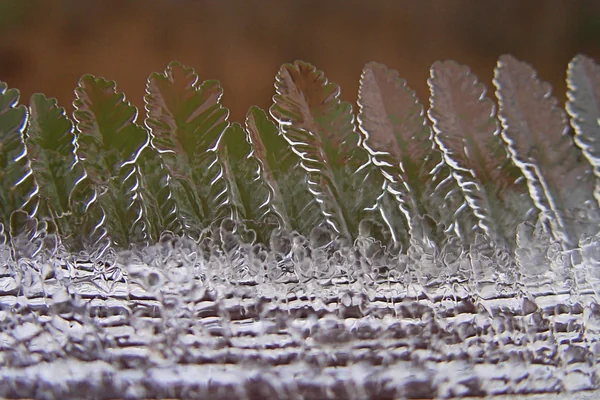 Crystal Trees