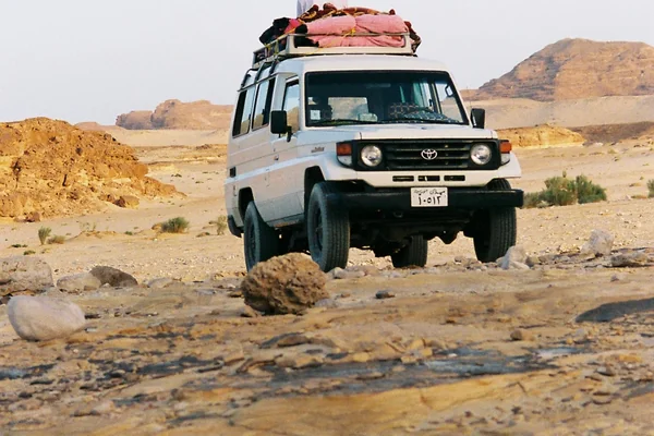 Afrika Safari 5