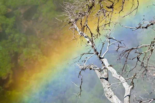 Rainbow Waterfall 1