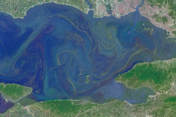 Blooms in the Sea of Marmara