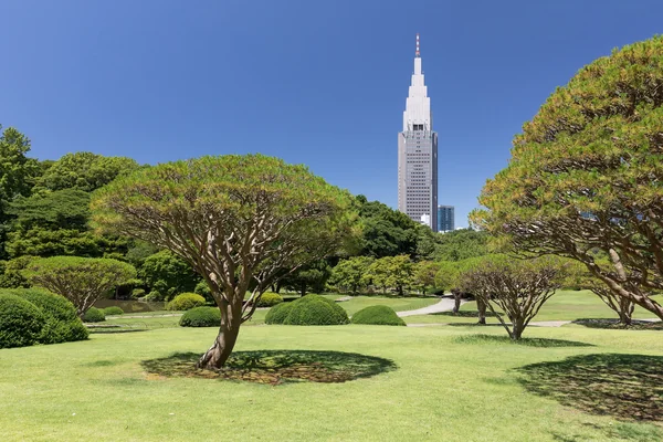 Tokyo Sokakları 2