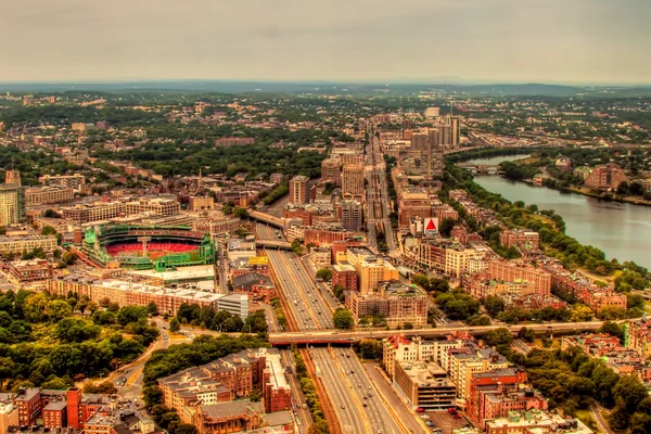 The city is not a concrete jungle, it is a human zoo..