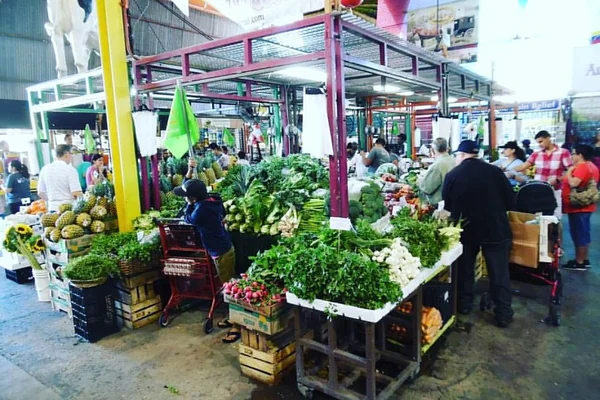 Maria Corona's Farm booth at Yellow Green Farmers Market⠀ #Produce⠀ #Florida⠀ #FreshAndHearty⠀ #Fruit & #Vegetables⠀ #Local