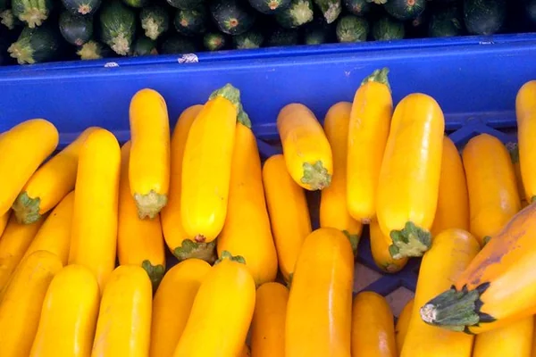North Charleston Farmers Market produce