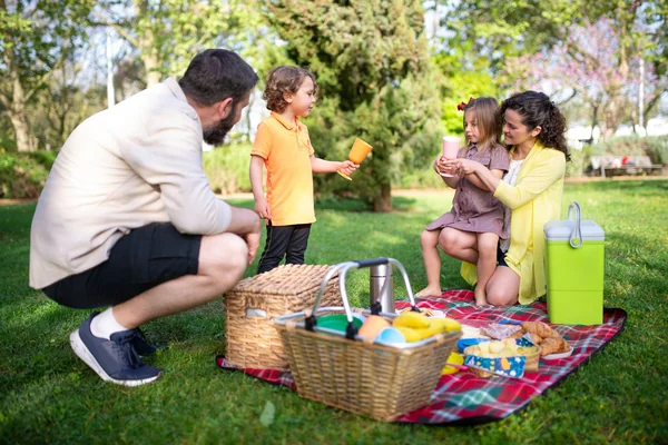 Aile Pikniği