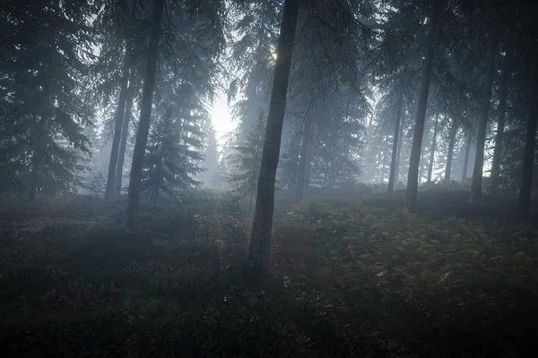 TheHunter: Call of the Wild / Misty Forest