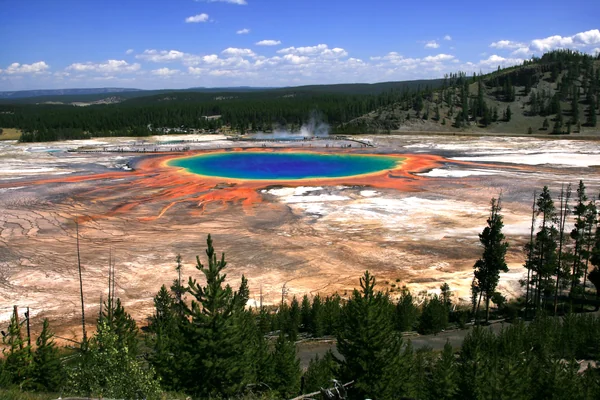 Milli Park 4