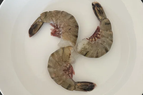 Deniz Ürünleri 4