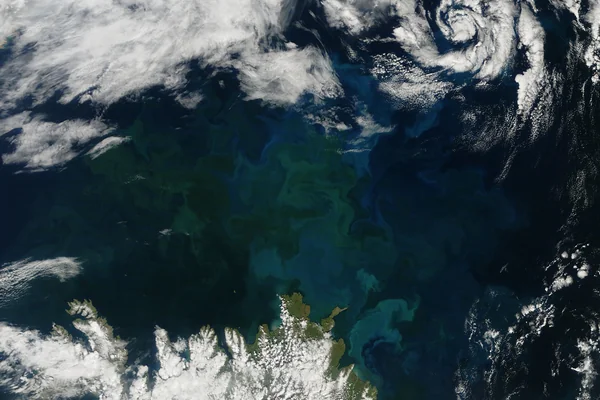 Phytoplankton bloom off Iceland