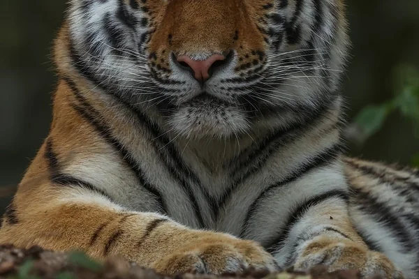 Bahar Doğası 5