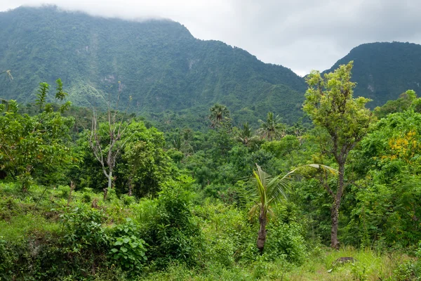 Bali 2