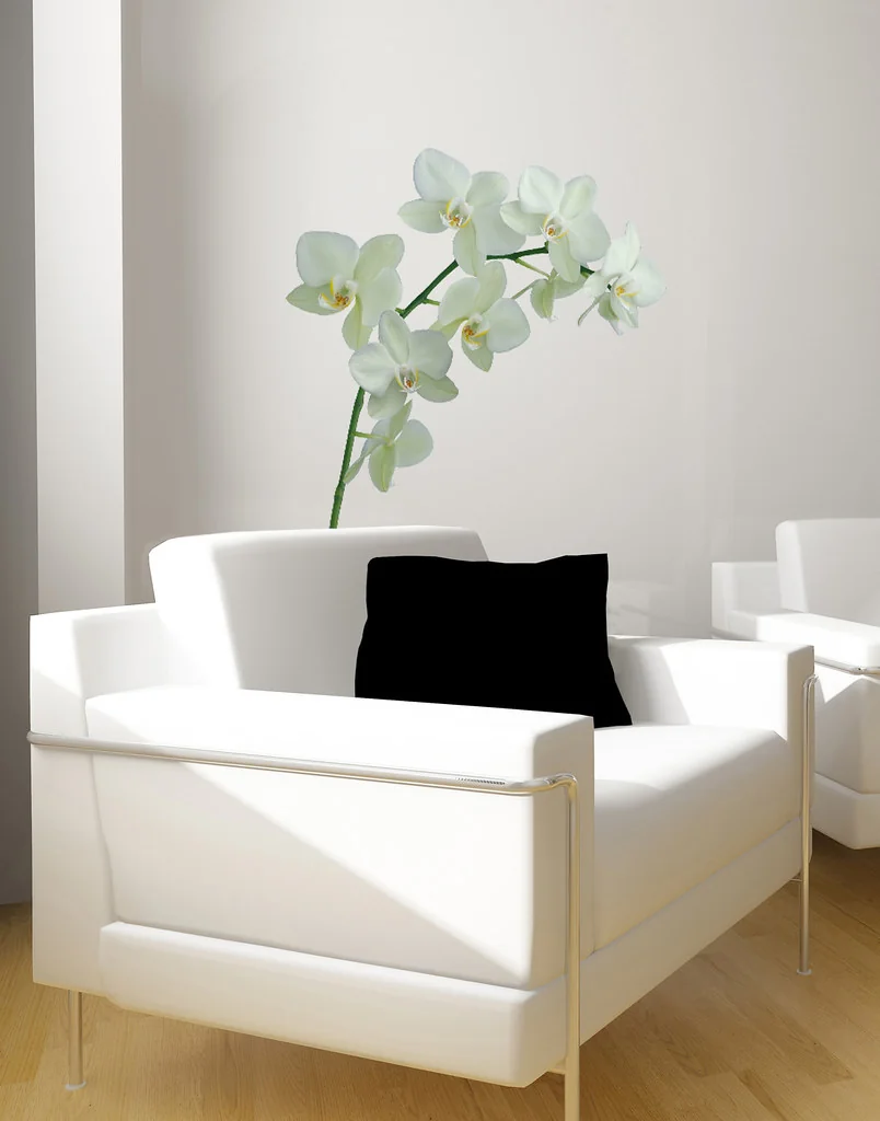 Plage Nature Deco